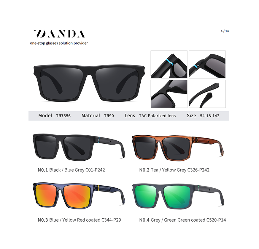 TR Men's Sunglasses