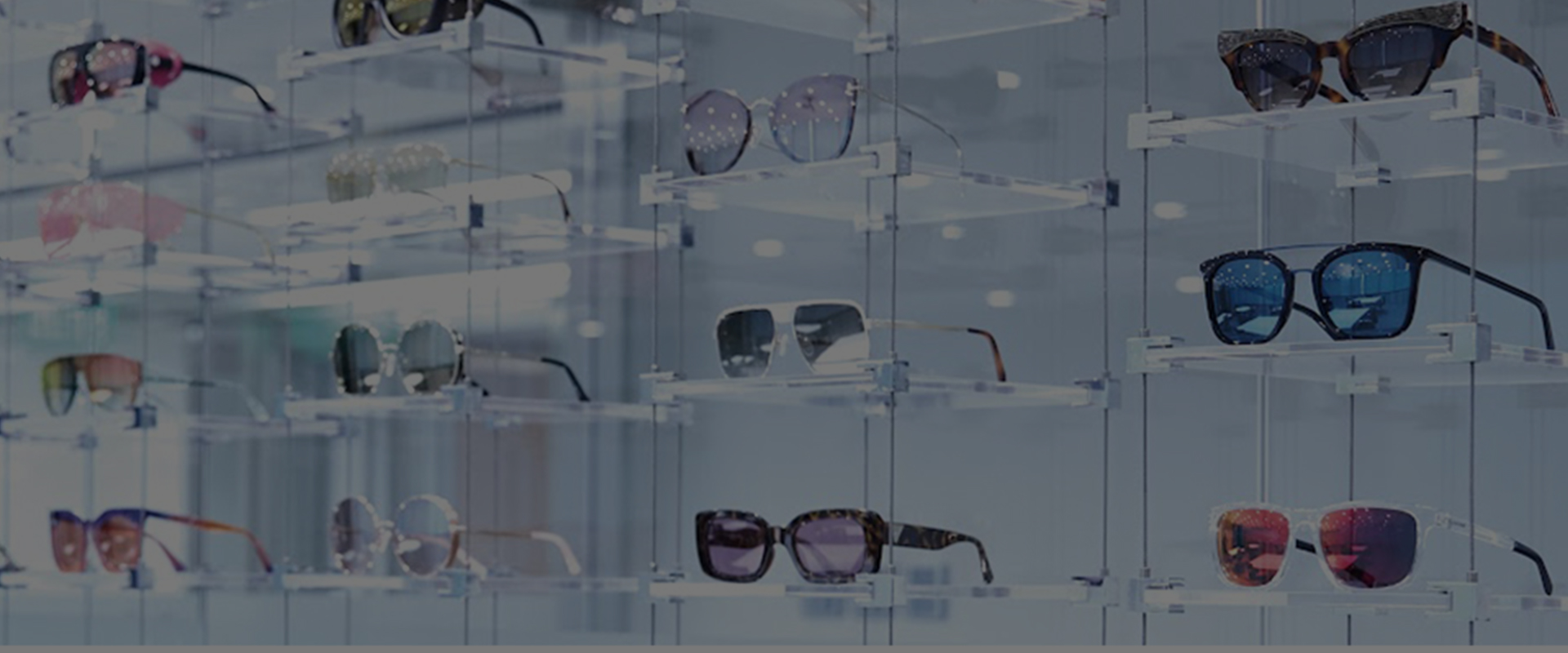 Know About Wanda Eyewear