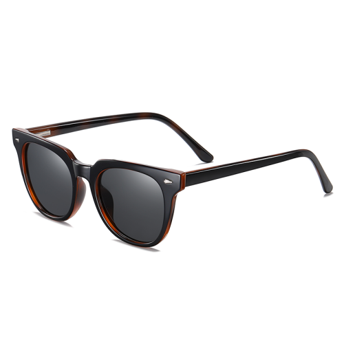 Round Square Waywarer Custom Logo Sunglasses