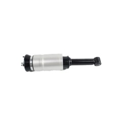 Automotive parts Shock Absorber wholesale Lr041108-ZODI