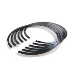 Automotive parts Piston Ring wholesale 12040 Z5505-ZODI