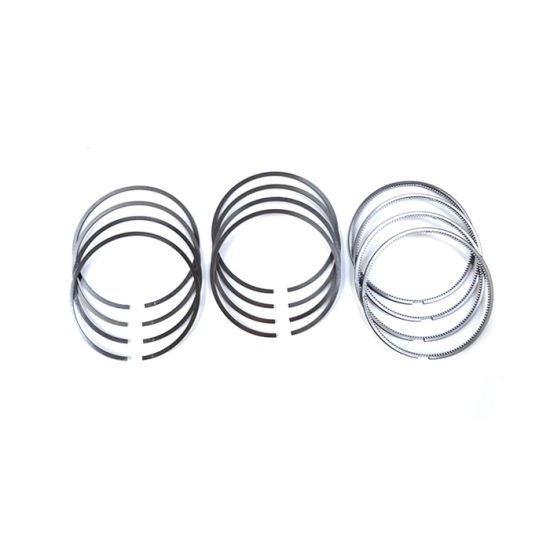 Automotive parts Piston Ring wholesale 12033 8h301-ZODI