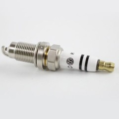 Automotive parts Spark Plug wholesale 101905601b-ZODI