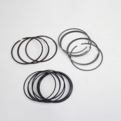 Automotive parts Piston Ring wholesale 13011 0p011-ZODI