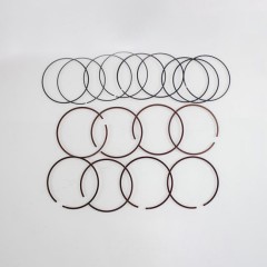 Automotive parts Piston Ring wholesale 13011 0t010-ZODI