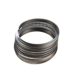 Automotive parts Piston Ring wholesale 12033 T9307-ZODI