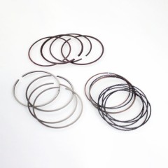 Automotive parts Piston Ring wholesale 13011 0p040-ZODI