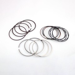 Automotive parts Piston Ring wholesale 13011 0p040-ZODI