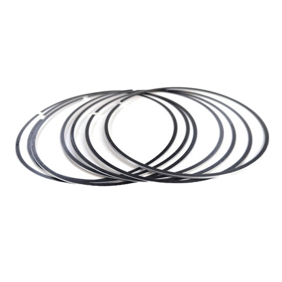 Automotive parts Piston Ring wholesale 12033 60j61-ZODI