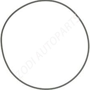948977 O ring volvo parts ZODI