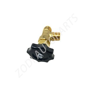 20786947 valve volvo parts ZODI
