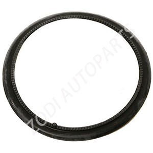 20531577 volvo auto parts sealing ring ZODI