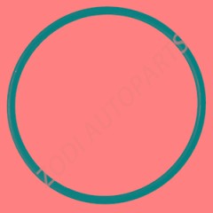 975675 O ring volvo parts ZODI