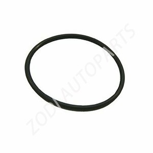 925257 O ring volvo parts ZODI