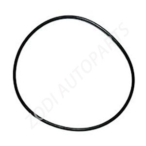 3986189 volvo auto parts O ring ZODI