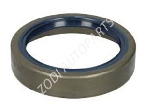 Shaft seal Wheel hub Oil seal For SCA OEM 300278 3002789 10379 heavy truck spare parts