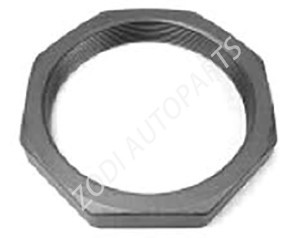 Lock nut for scan-ia OEM 273024