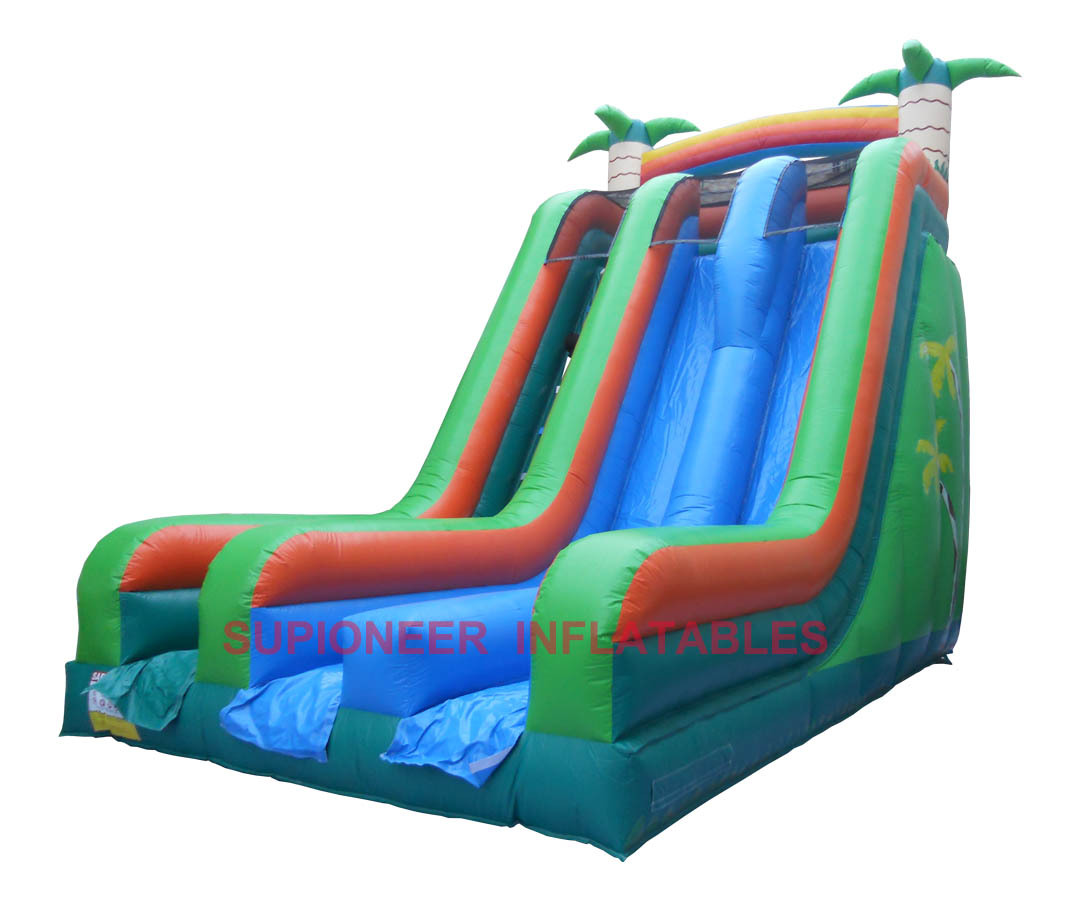 Tropical Dual Lane Slide, SL-210113