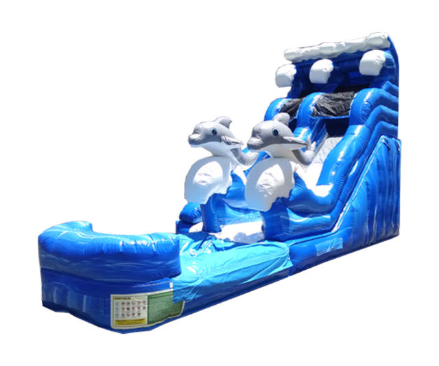 19 Dolphin Water Slide