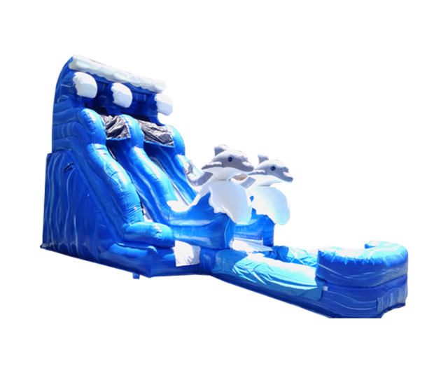 19 Dolphin Water Slide