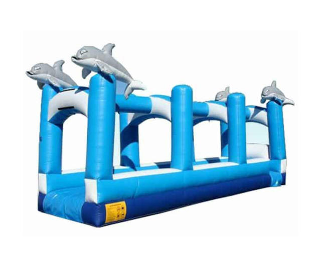 Dolphin Slip N Slide