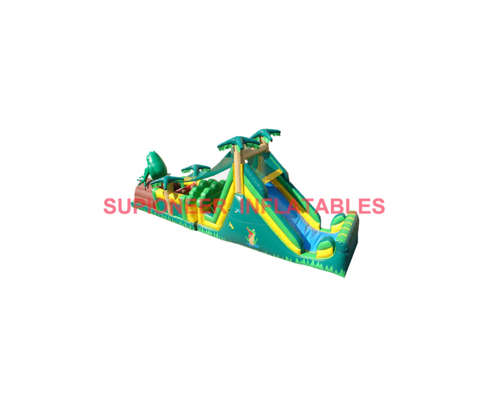 Frog Obstacle Course, OB-807261