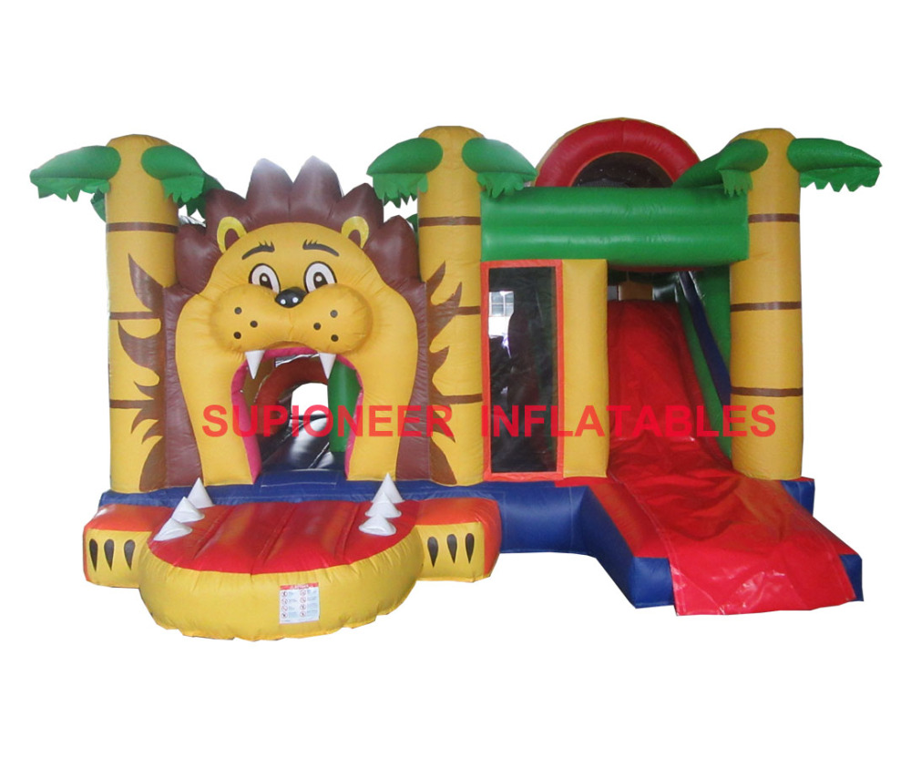 Lion Combo, CO-2112253