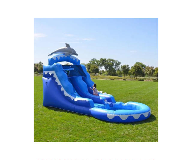 13 Dolphin Water Slide, WS-2207298