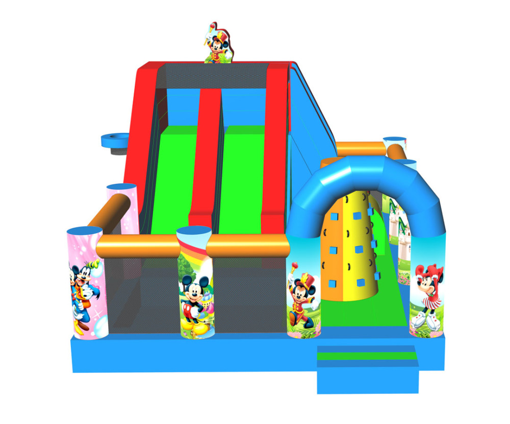 Disney Combo, CO-2304029
