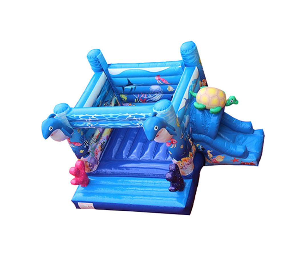 Dolphin Bouncer Slide Combo, CO-2305134