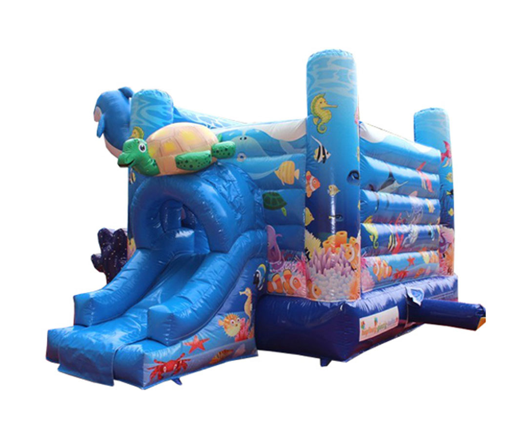 Dolphin Bouncer Slide Combo, CO-2305134