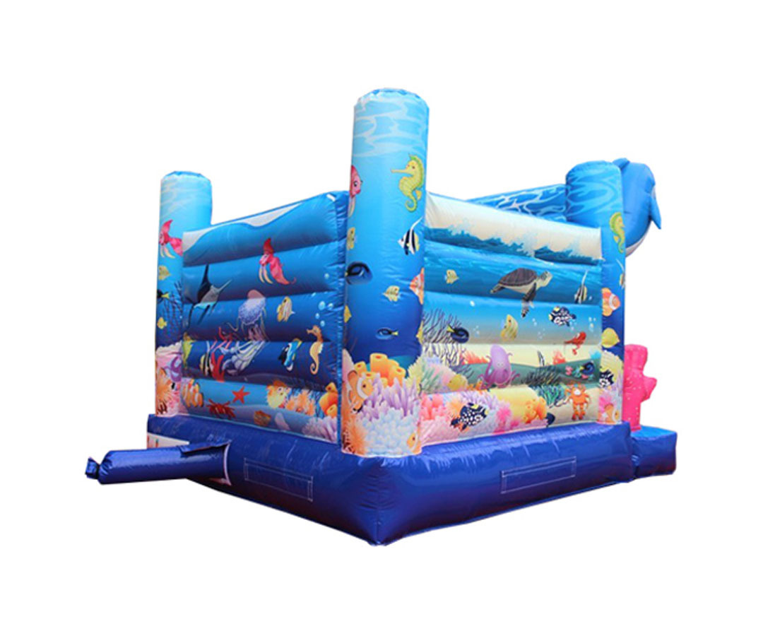 Dolphin Bouncer Slide Combo, CO-2305134