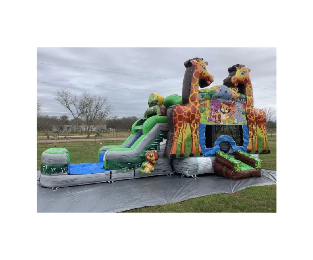 Giraffe Combo, CO-2307245