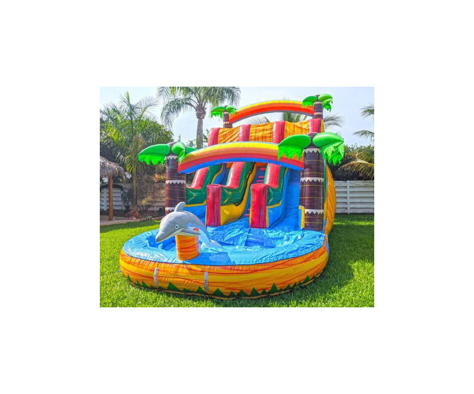 18 Dolphine Dual Lane Water Slide, WS-2308118