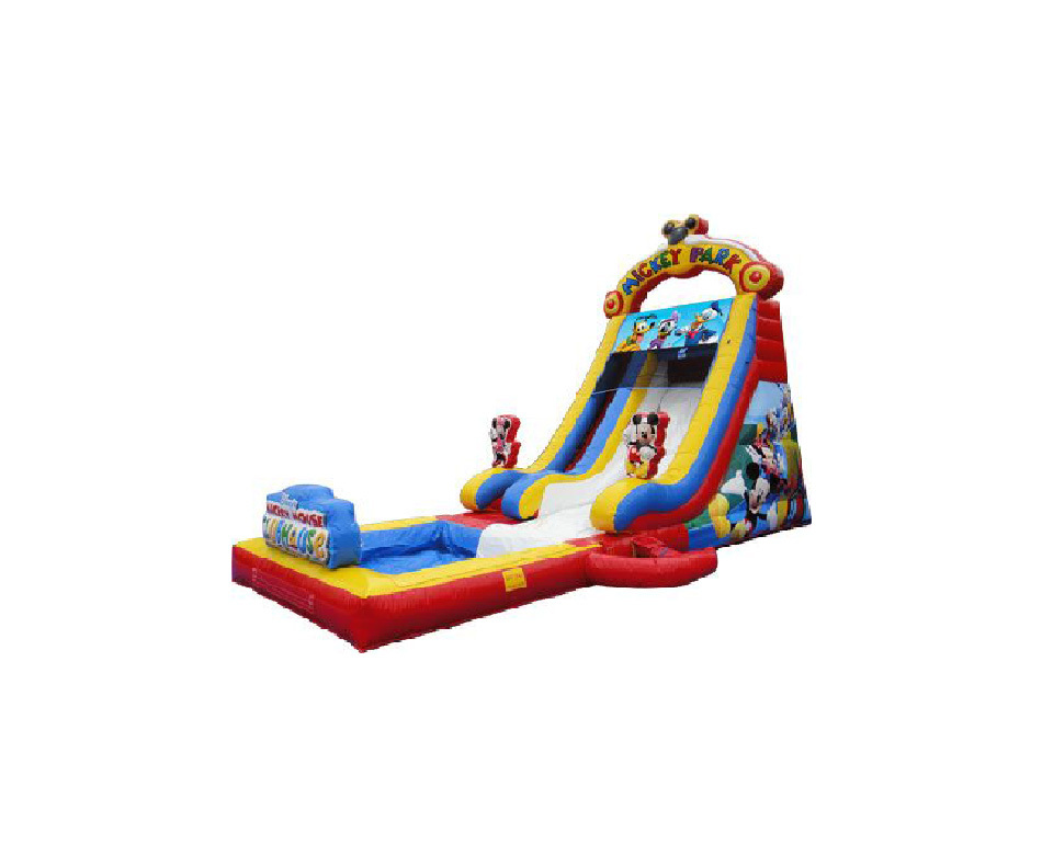 18 Mickey Water Slide, WS-2308127