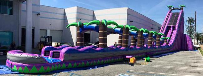 43 Purple Monster Dual Lane Water Slide, WS-40120