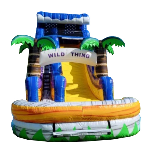 18 Wild Thing Water Slide, WS-40131