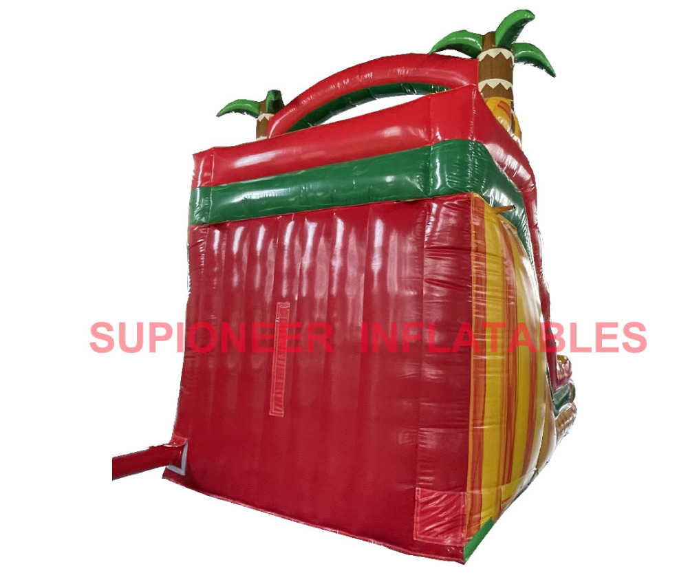 16 Tropical Fiesta Dual Lane Water Slide, WS-2404265