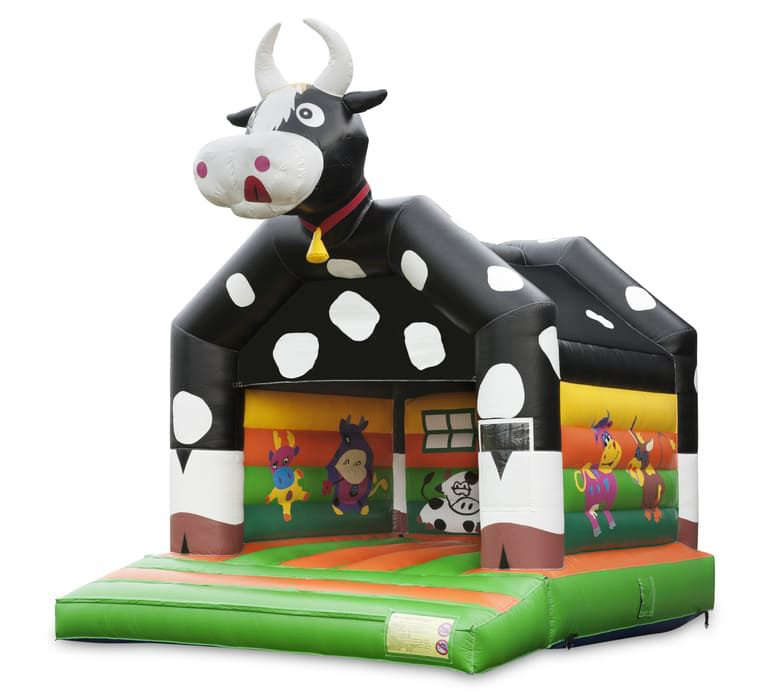 Cow Bouncer,  BC-2406053