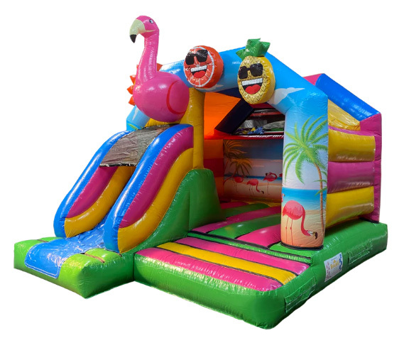 Flamingo Combo,CO-2407205