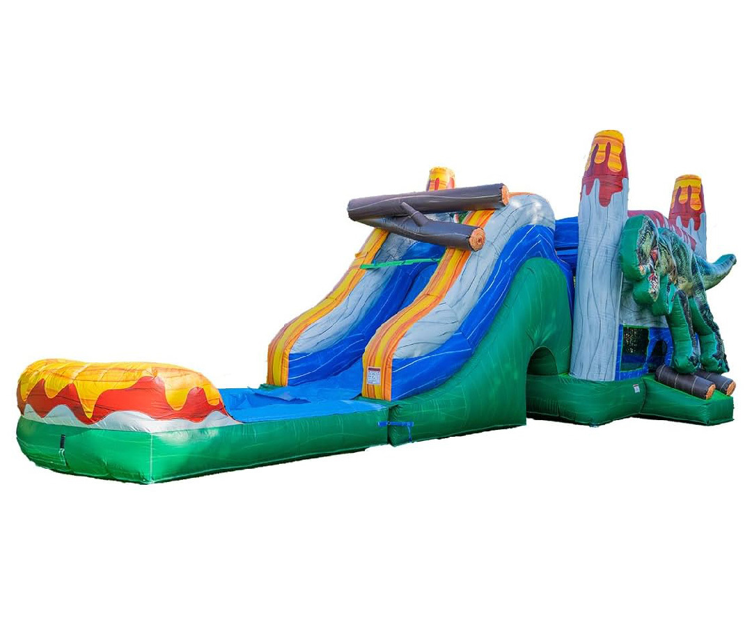 Dinosaur Wet Dry Combo, CO-2410051
