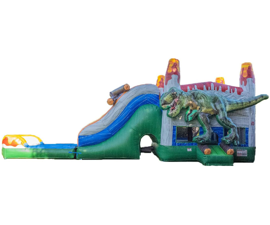 Dinosaur Wet Dry Combo, CO-2410051