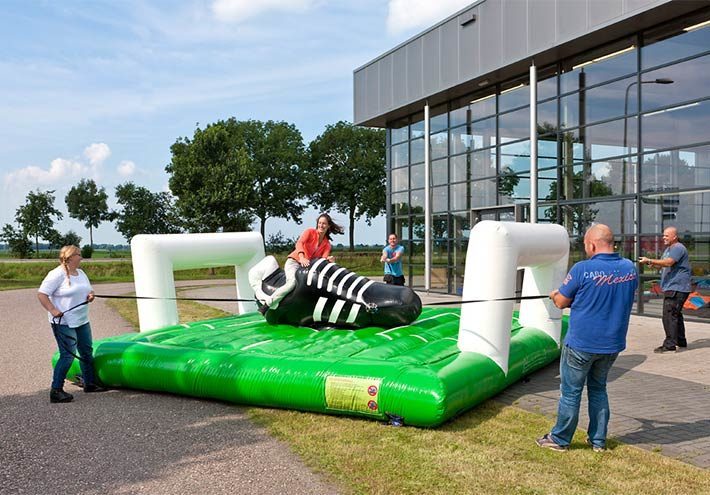 Pulling Football Shoe Rodeo, SP-10138