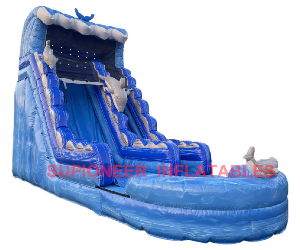 18 Dolphin Water Slide with Inflated Pool, WS-2412291