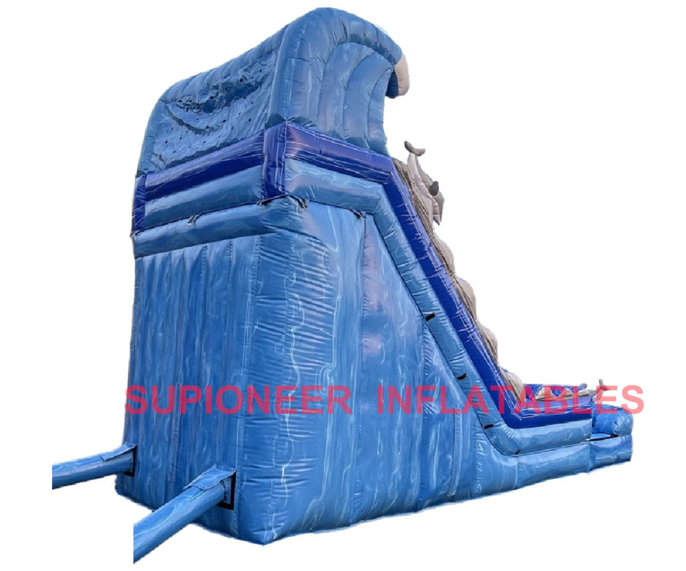 18 Dolphin Water Slide with Inflated Pool, WS-2412291