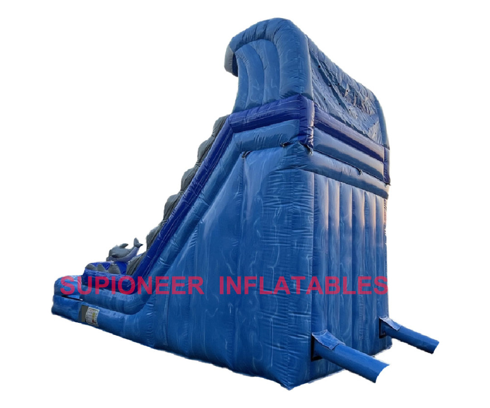 18 Dolphin Water Slide with Inflated Pool, WS-2412291