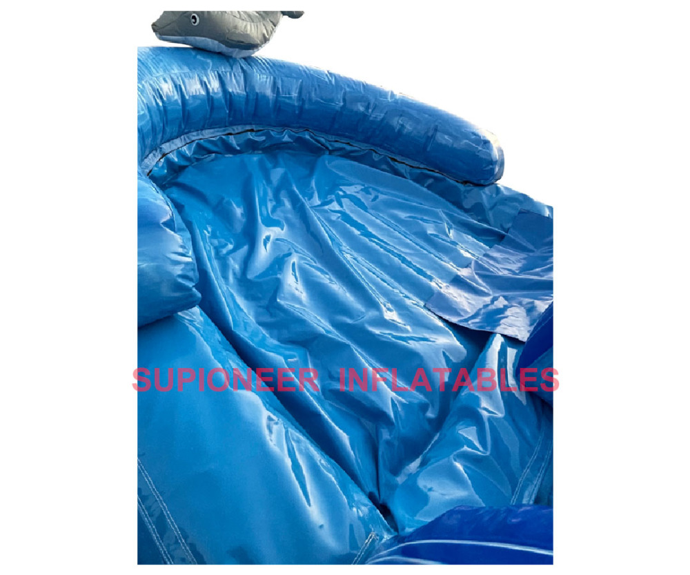 18 Dolphin Water Slide with Inflated Pool, WS-2412291