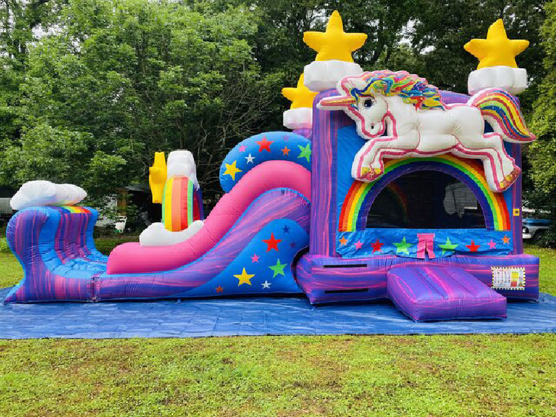 Unicorn Wet Dry combo with stopper and pool, CO-2502155