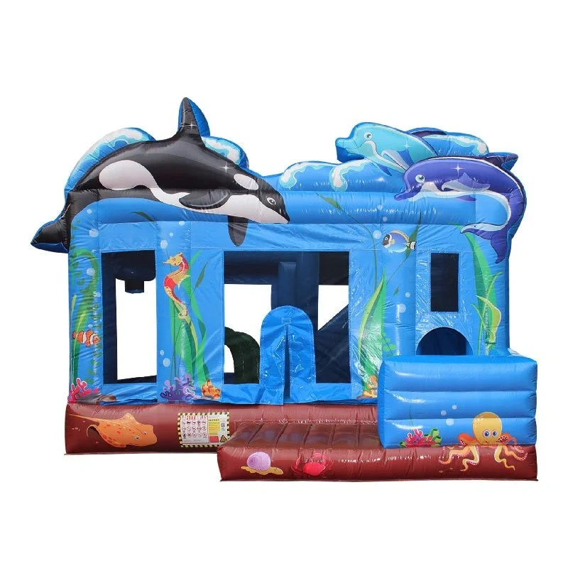 Ocean  Aventure Combo, CO-2505116