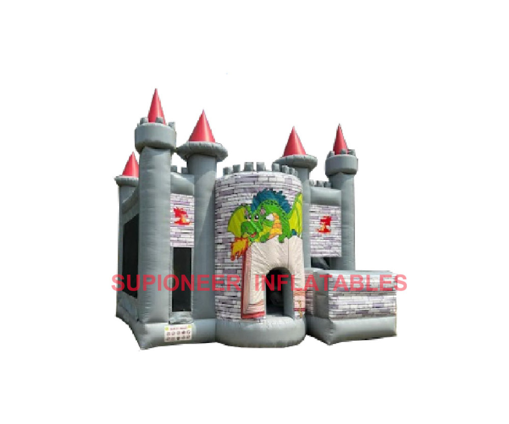Dragon Castle Combo, CO-2507262